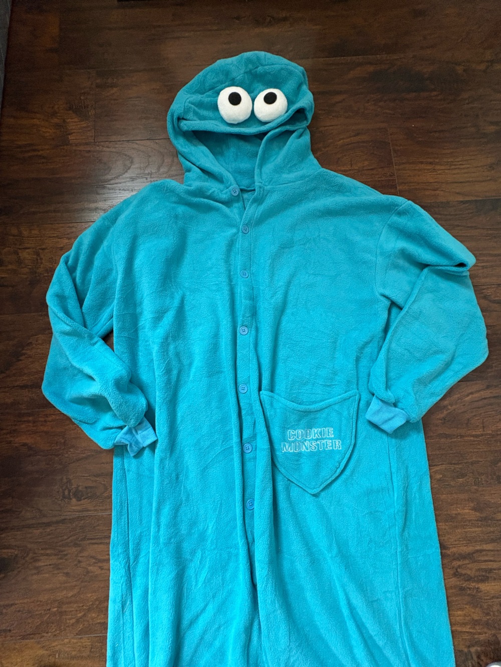 Sesame Street Cookie Monster Costume